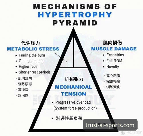 爱体育流畅操作vs同类平台：老用户告诉你哪个更值得选